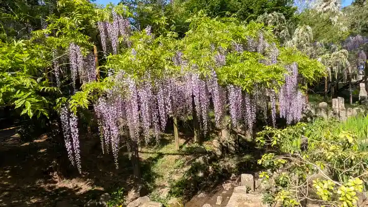 歌泉堂(春日大社神苑萬葉植物園内鎮座)(奈良県)