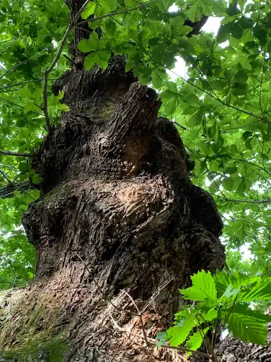 那須温泉神社の自然