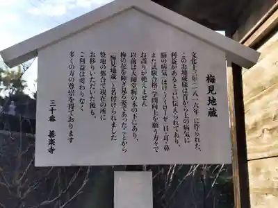 善楽寺(高知県)