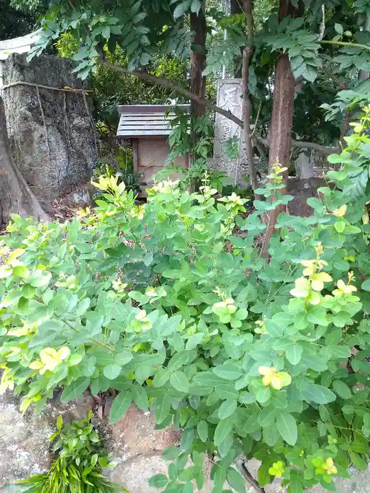 阿智神社の自然