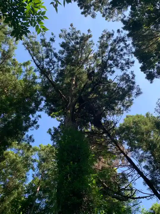 浅間神社(千葉県)