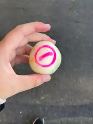 一畑薬師(島根県)