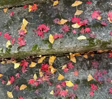 観音寺(滋賀県)