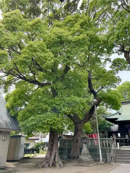 久里浜八幡神社(神奈川県)