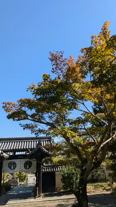 光明寺(粟生光明寺)(京都府)