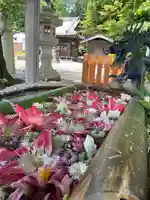 立志神社の手水舎