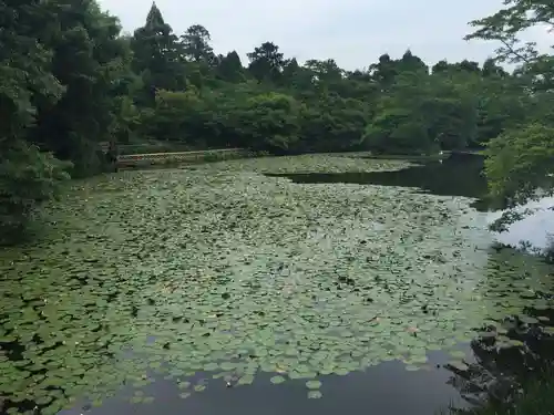 龍安寺のその他建物