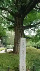 淨眞寺の自然