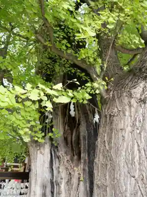 飛木稲荷神社(東京都)