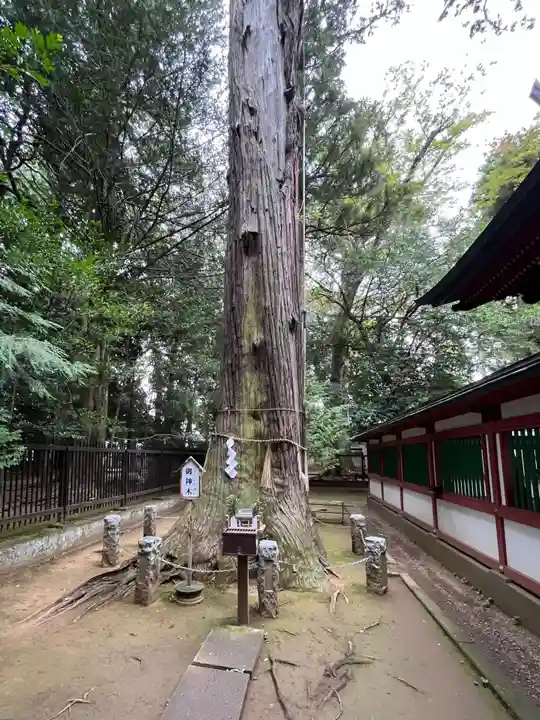 一言主神社(茨城県)