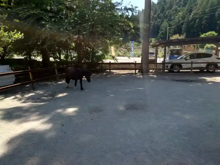 丹生川上神社(下社)(奈良県)