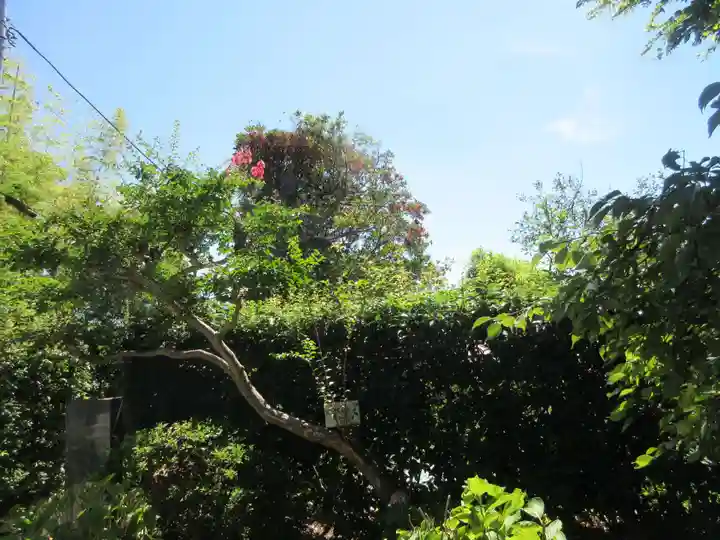 悟心寺(神奈川県)