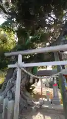 水神社の鳥居