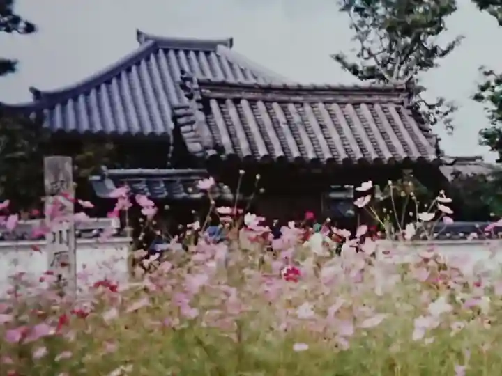 弘福寺(川原寺跡)のその他建物