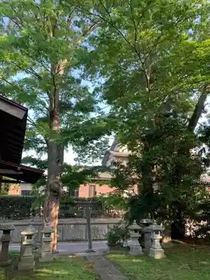 稲荷神社(千葉県)