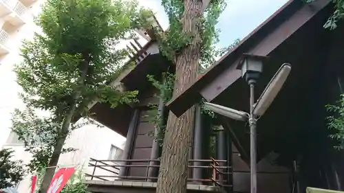 高円寺氷川神社の本殿・本堂