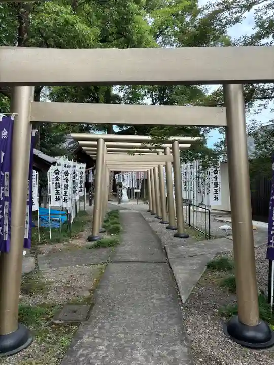 白金龍王社(愛知県)