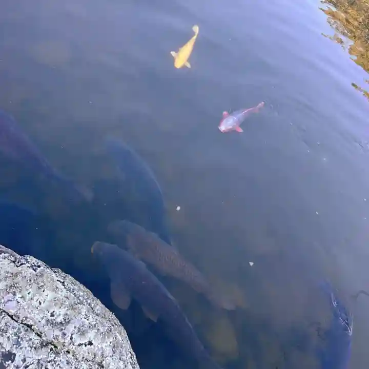 三柱神社(福岡県)
