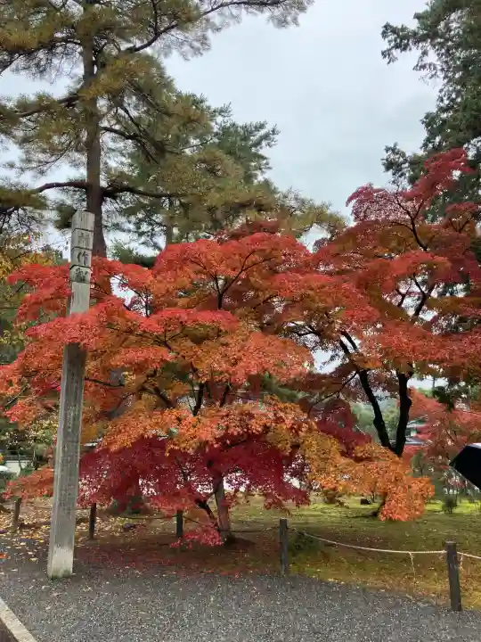 南禅寺(京都府)