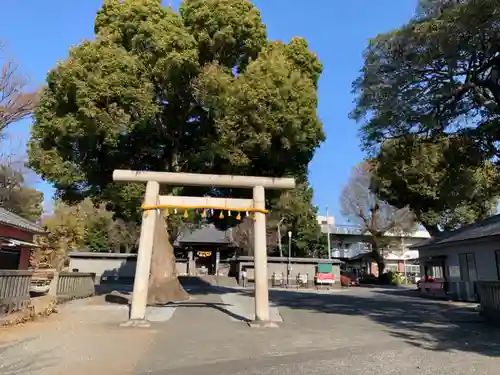 日吉浅間神社の鳥居