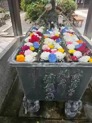 柳谷観音　楊谷寺の{uncategorized: "未分類", other: "その他", undefined: "問題あり", building: "その他建物", grave: "お墓", sacred_gate: "鳥居", guardian: "狛犬", statue: "像", buddha: "仏像", history: "歴史", nature: "自然", garden: "庭園", animal: "動物", pagoda: "塔", temizu: "手水舎", mountain_gate: "山門・神門", sanctuary: "本殿・本堂", subordinate: "末社・摂社", art: "芸術", scenery: "景色", jizo: "地蔵", ema: "絵馬", goshuin: "御朱印", omikuji: "おみくじ", items: "授与品その他", amulet: "お守り", goshuincho: "御朱印帳", eats: "食事", festival: "お祭り", votive_dance: "神楽", shichigosan: "七五三参", wedding: "結婚式", experience: "体験その他", initially: "初詣", around: "周辺", anti_infection: "感染症対策"}