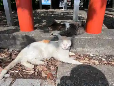 息栖神社(茨城県)