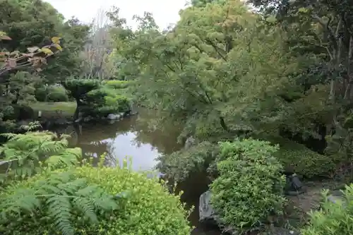 東寺（教王護国寺）(京都府)