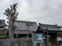 願通寺のその他建物