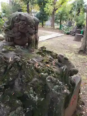 今井神社の狛犬
