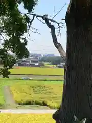 神吉八幡神社(兵庫県)