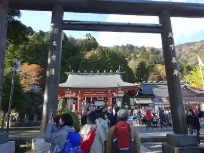 大山阿夫利神社の鳥居
