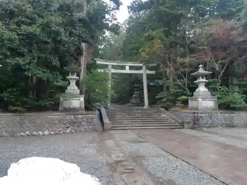 彌彦神社の鳥居