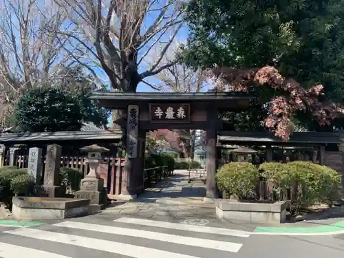 森巌寺の山門