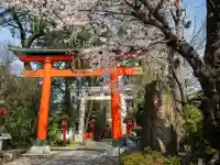 馬橋稲荷神社の{uncategorized: "未分類", other: "その他", undefined: "問題あり", building: "その他建物", grave: "お墓", sacred_gate: "鳥居", guardian: "狛犬", statue: "像", buddha: "仏像", history: "歴史", nature: "自然", garden: "庭園", animal: "動物", pagoda: "塔", temizu: "手水舎", mountain_gate: "山門・神門", sanctuary: "本殿・本堂", subordinate: "末社・摂社", art: "芸術", scenery: "景色", jizo: "地蔵", ema: "絵馬", goshuin: "御朱印", omikuji: "おみくじ", items: "授与品その他", amulet: "お守り", goshuincho: "御朱印帳", eats: "食事", festival: "お祭り", votive_dance: "神楽", shichigosan: "七五三参", wedding: "結婚式", experience: "体験その他", initially: "初詣", around: "周辺", anti_infection: "感染症対策"}