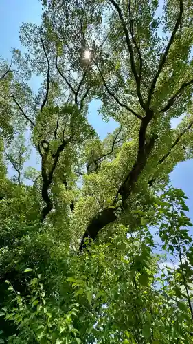 和泉國一之宮　大鳥大社(大阪府)