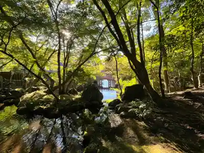 醍醐寺(京都府)