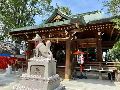 馬橋稲荷神社の狛犬