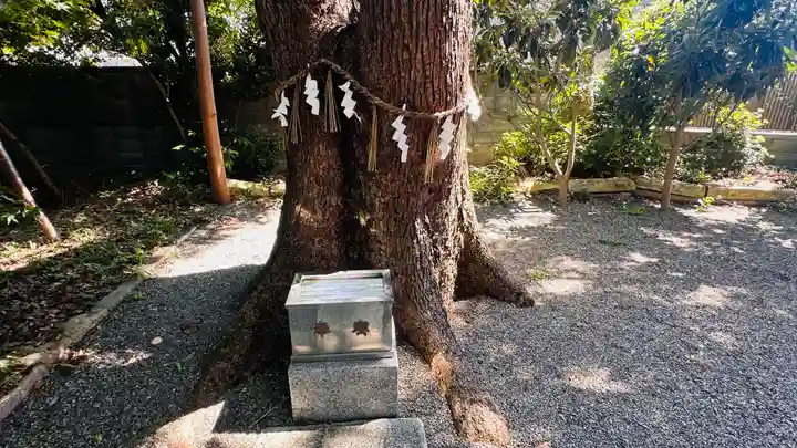 高龗神社・脇浜戎大社(大阪府)