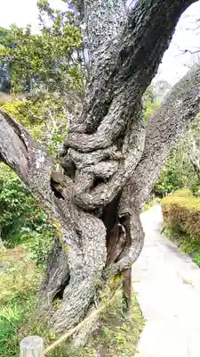 瑞泉寺(神奈川県)