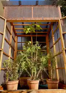 福王山 慈眼寺の自然(2021年12月06日(月) 08時57分28秒投稿)