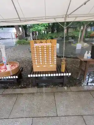 櫻木神社のおみくじ