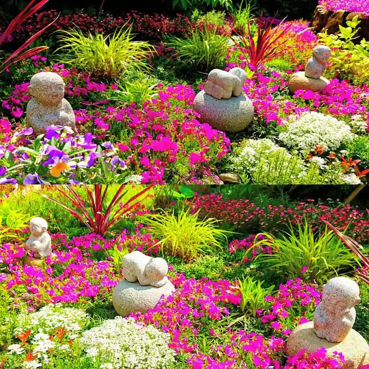 寿量山 速成寺の自然