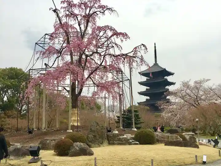 東寺(教王護国寺)の庭園