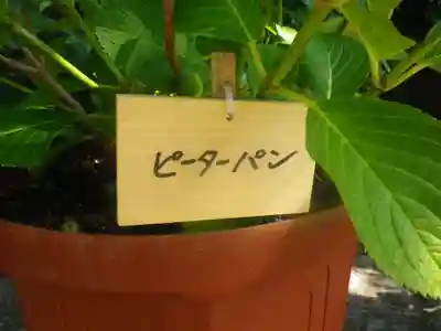 長谷寺のその他建物