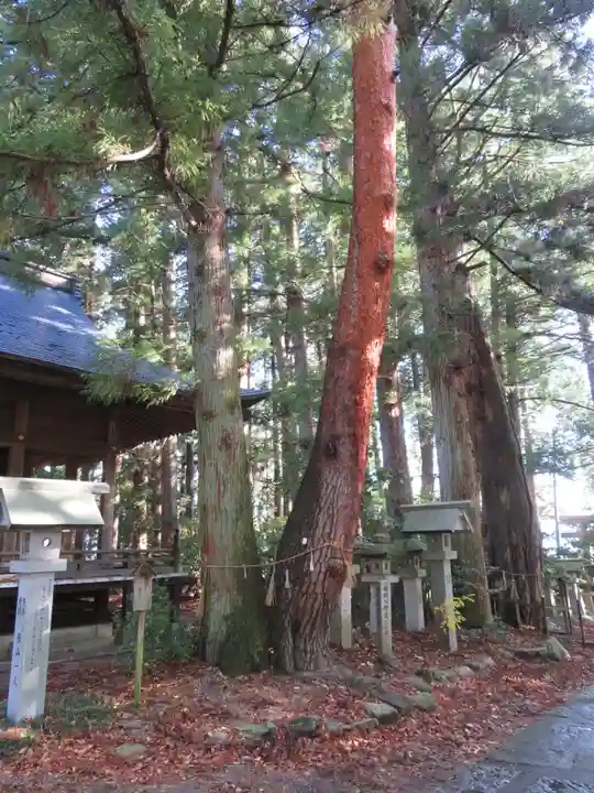 大宮熱田神社の自然