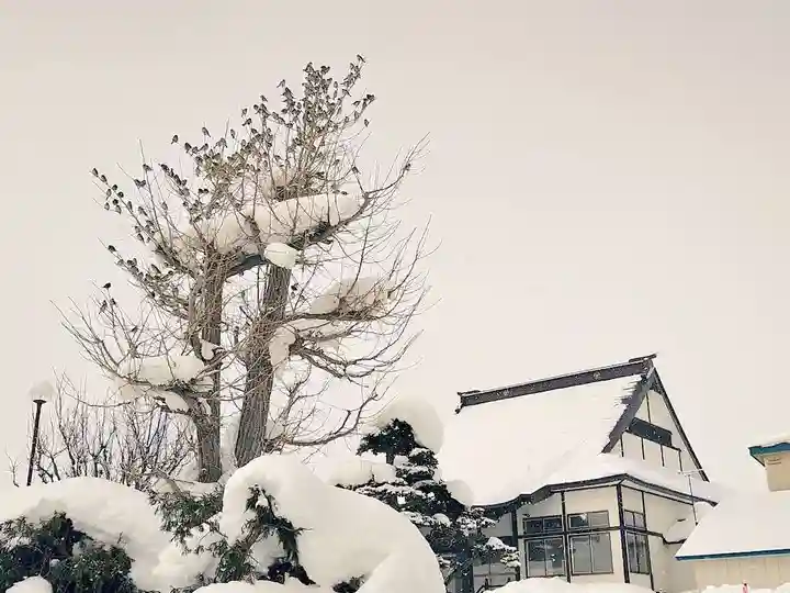 雨竜 専福寺(北海道)
