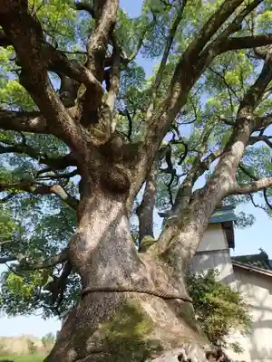 速雨神社の自然