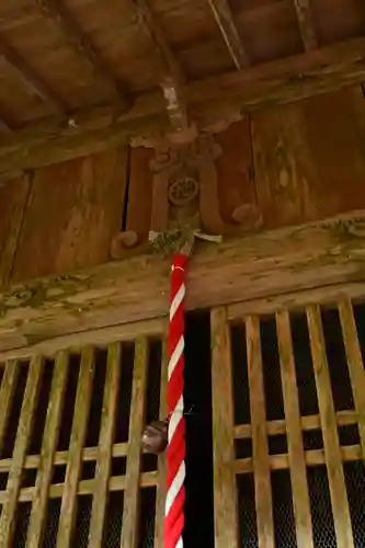 地主神社（桑の川の鳥居杉）(高知県)