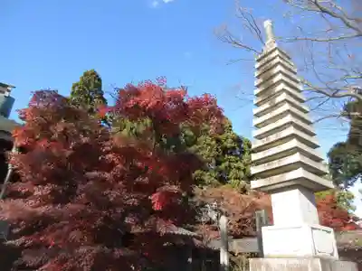本土寺のその他建物