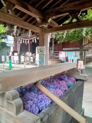 鳩森八幡神社の手水舎